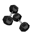 dumbbell metis 25 kg hex.png 2.webp
