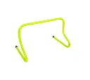 hurdle flat agility.webp