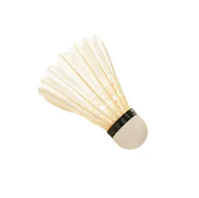 shuttlecocks med.webp