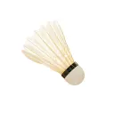 shuttlecocks med.webp