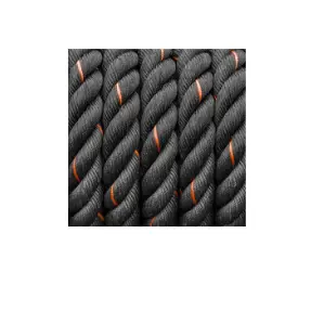 battle rope.webp