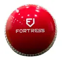 cricket ball training red.webp