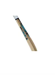 cricket bat GM.webp