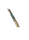 cricket bat GM.webp