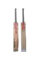 cricket bat GN long hand.webp