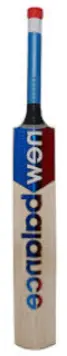 cricket bat nb.webp