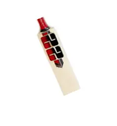 cricket bat ss ton blkred.webp