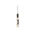 cricket bat slaz.webp