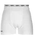Cricket Boxer.webp