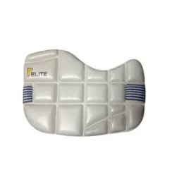 cricket chest guard.webp