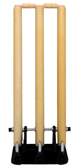 stumps spring.webp