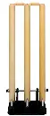 stumps spring.webp