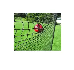 cricket ball net.webp