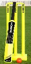 forza cricket plastic set.webp