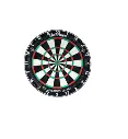 Dart board Quadro pro.webp