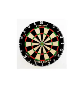 professional dart board.webp