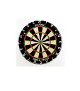 professional dart board.webp