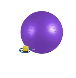 exercise ball with pump purple.webp