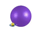 exercise ball with pump purple.webp