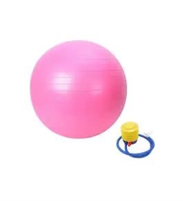exercise ball with pump pink.webp