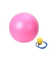 exercise ball with pump pink.webp