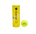 slaz lawn tennis balls.webp