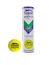 4 tube lawn tennis balls.webp