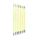 Shalom Poles Spring Loaded.webp