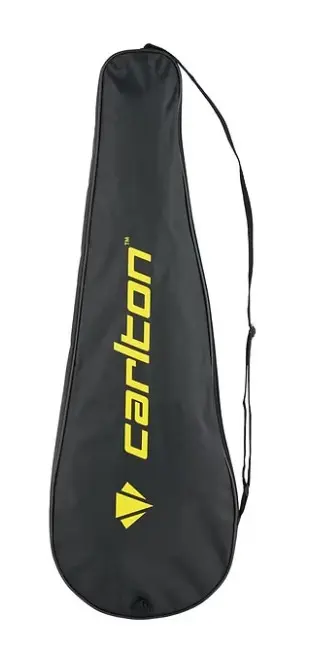 badminton cover.webp
