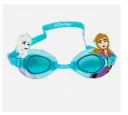 swimming goggle frozen .webp