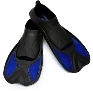 swimming fins blue.webp