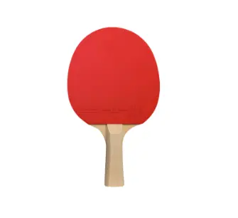 table tennis racket.webp