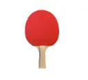 table tennis racket.webp