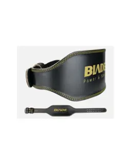 weight training belt.webp
