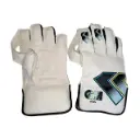 GM Wicket Keeping Gloves Aion.webp