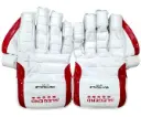 wicket keeping glove gn legendss.webp