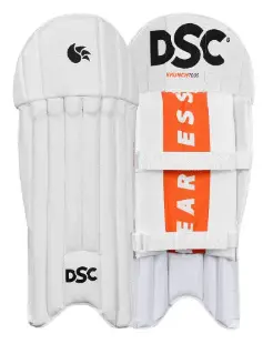 DSC wicket pads.webp