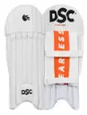 DSC wicket pads.webp