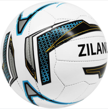 Ziland Pro Trainer Football Size 3