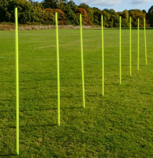 Ziland Academy Slalom Poles 12PK