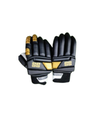Cricket Batting Gloves SS Youth RH