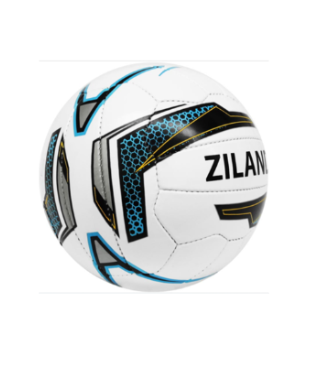 Football Ziland Pro Trainer Size 3 White