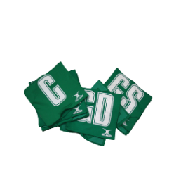 Netball Patches Green PK