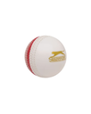 Cricket Ball Training Size 5 1/2oz Red|White Senior