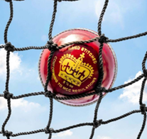 Cricket Net -  Selected lengths  