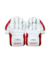 Wicket Keeping Gloves GN Adult (damaged)