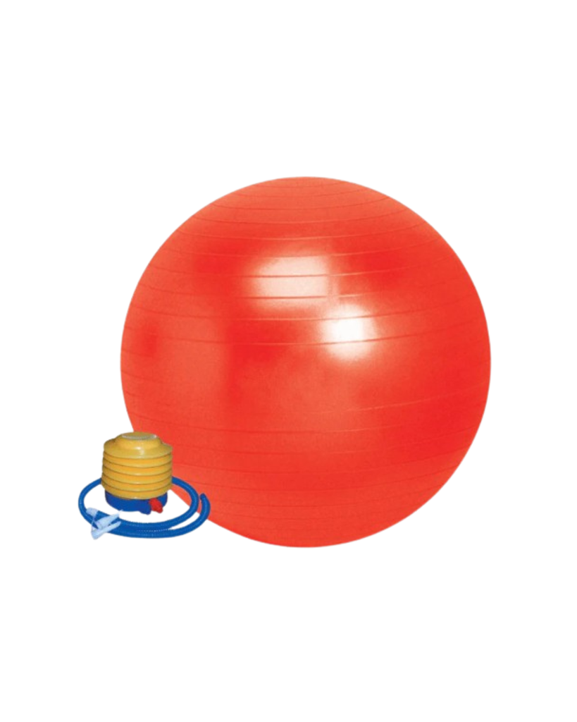 Exercise Ball w/Foot Pump 65cm - Orange
