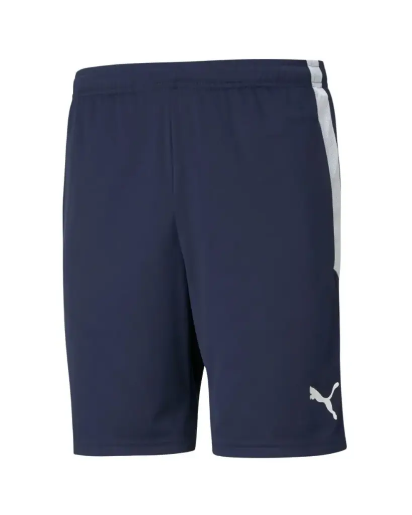 Shorts Puma teamLIGA Navy Medium