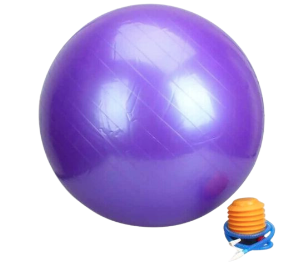 [10377] Exercise Ball w/Foot Pump 75cm Purple