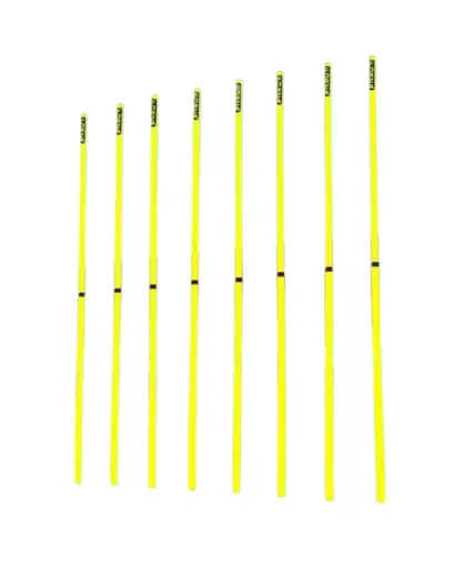 [10851] Telescopic Slalom Poles Forza 8pk
